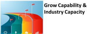 capability icon